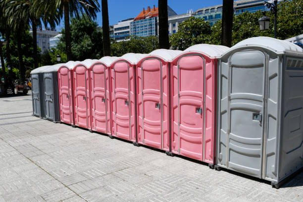 Best Short-Term Portable Toilet Rental  in Needville, TX